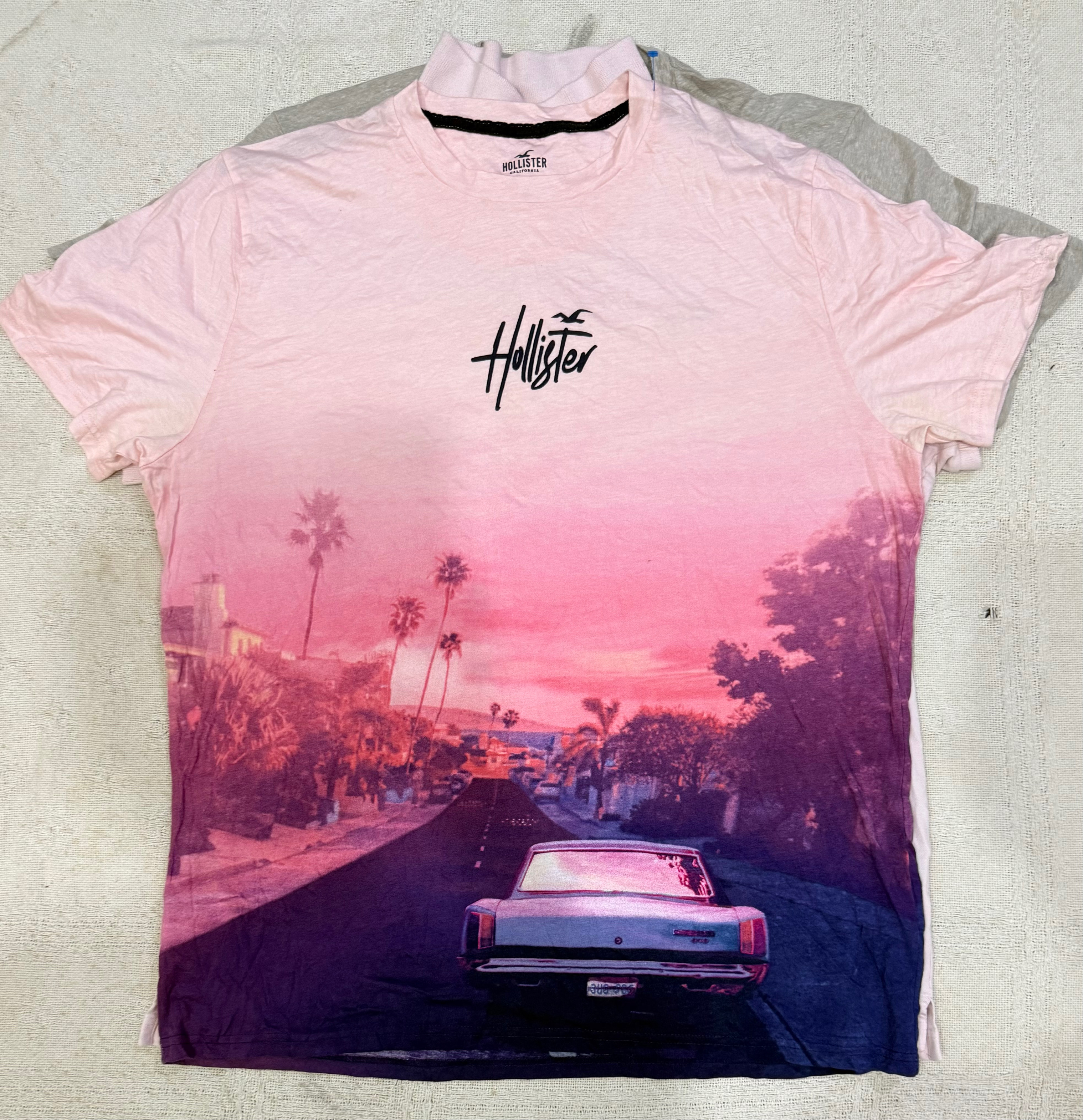 Hollister t shirts 22 pieces