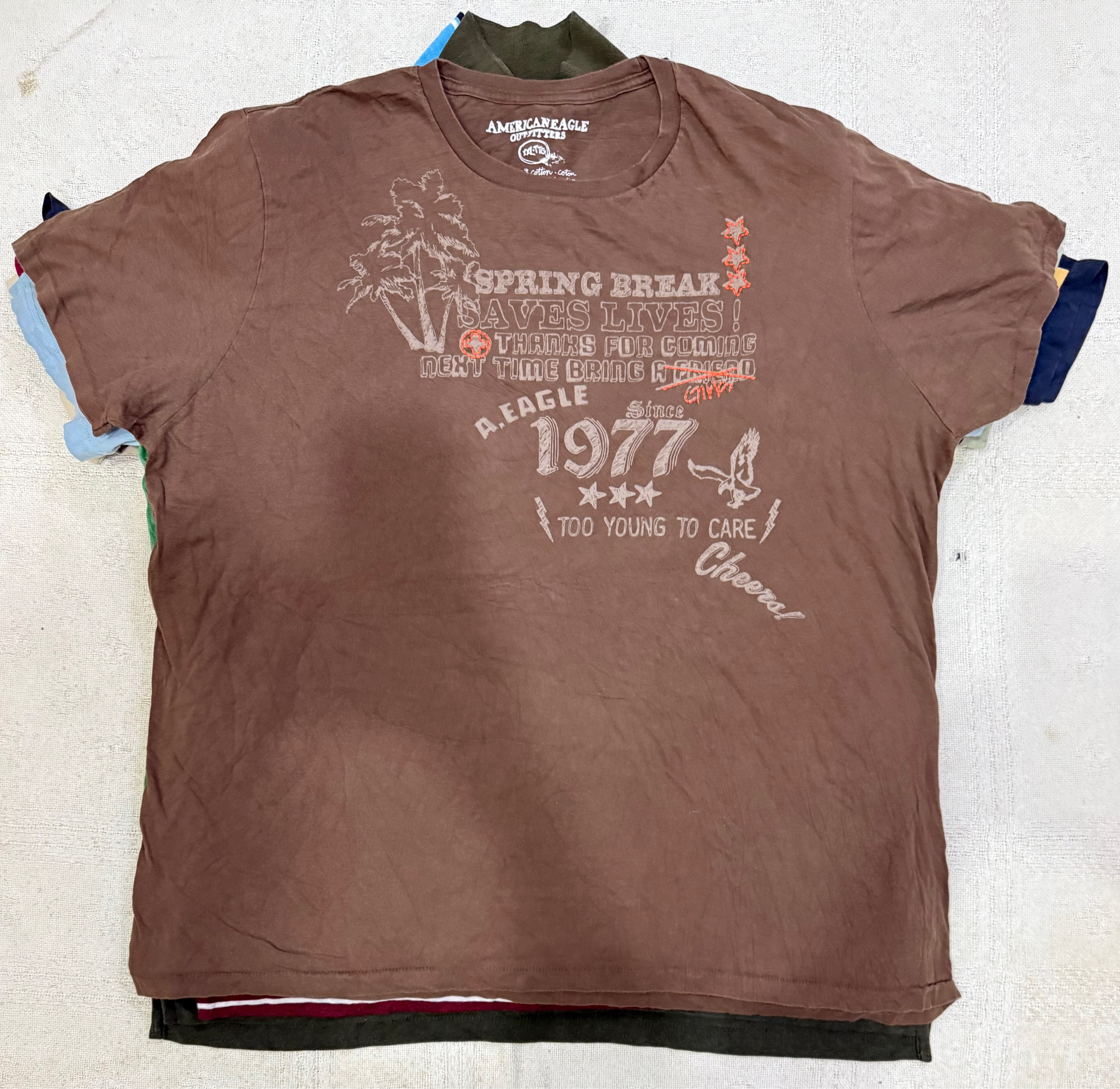 アメリカンイーグルTシャツ15枚