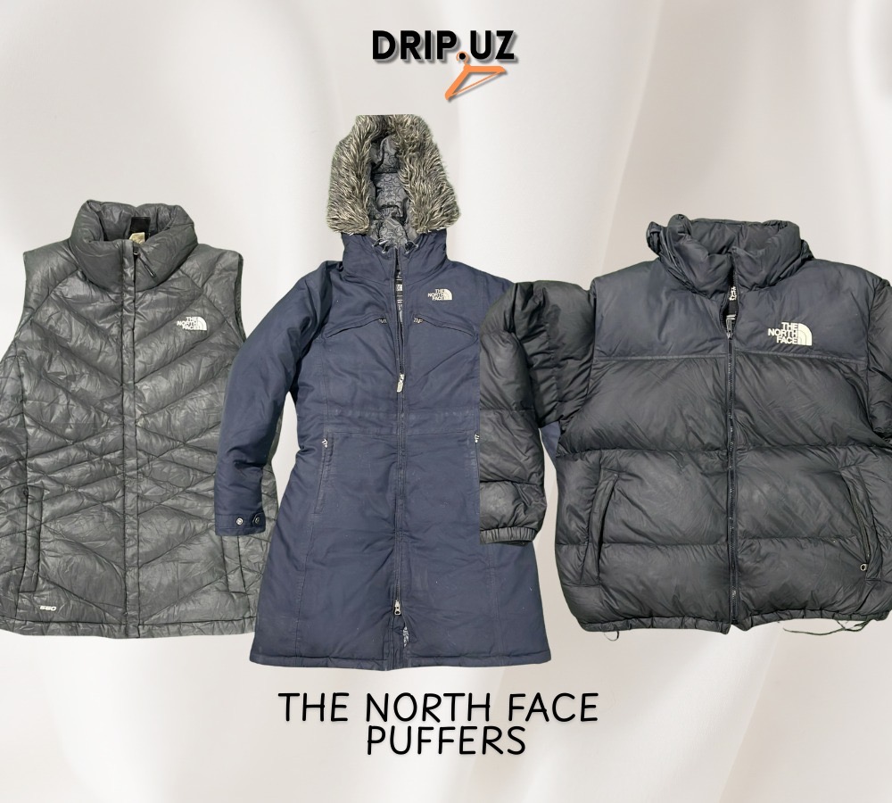 The North Face Puffer Jackets