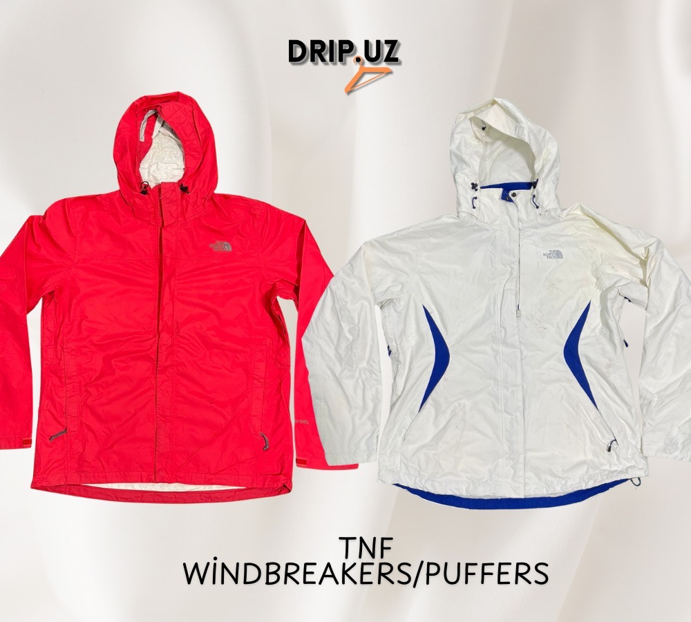 The north face windbreakers/puffer Jackets