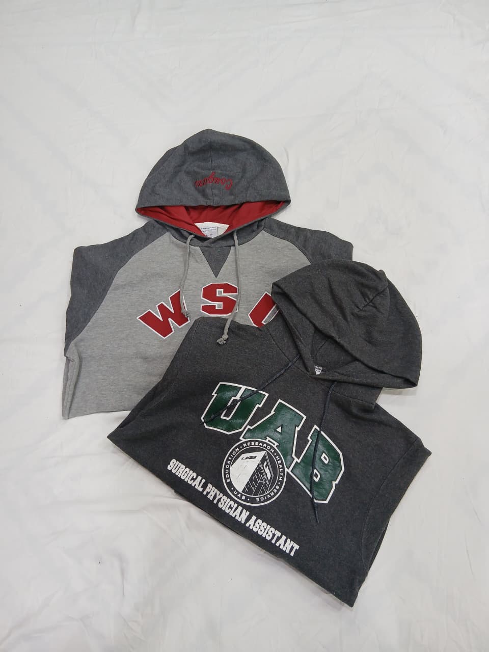 ZV1310 チャンピオン フーディ