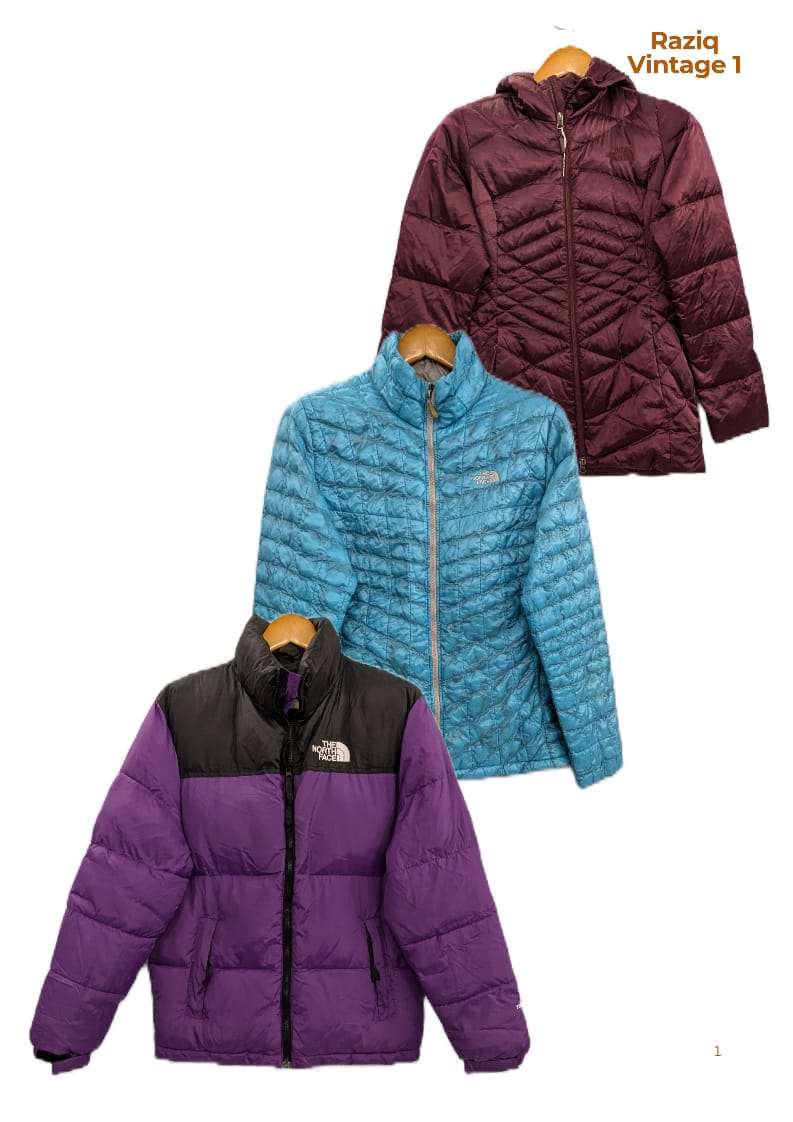 RV1604 The North face Puffer Jackets