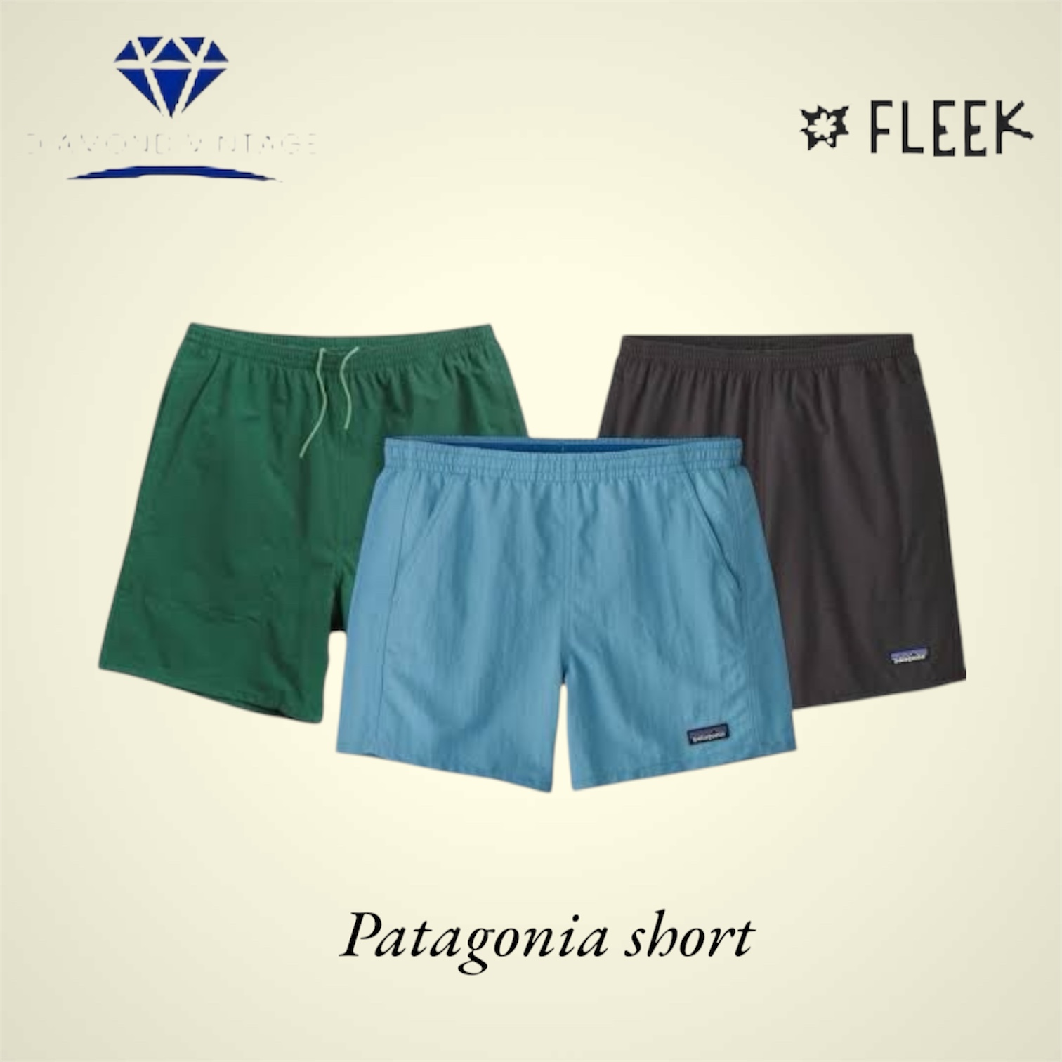 Patagonia Shorts (DV -01-114)