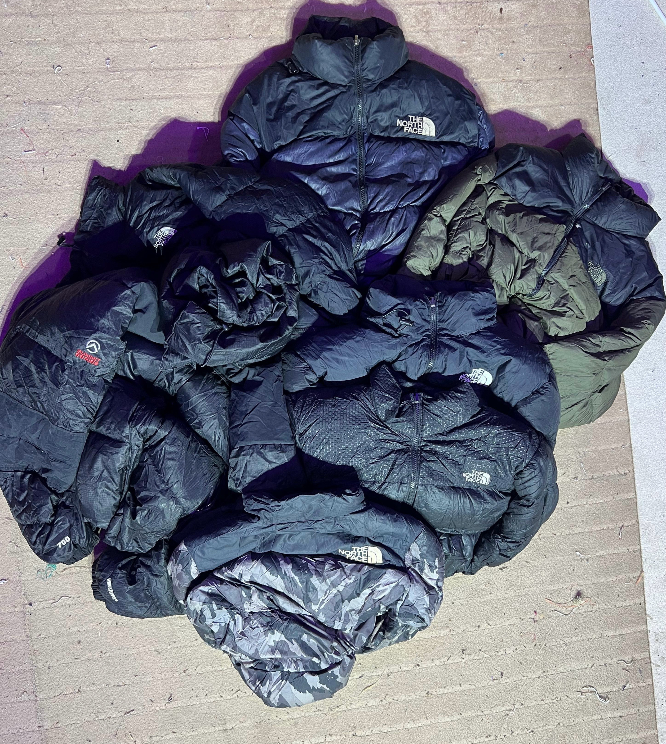 The North Face Puffer Jackets 700