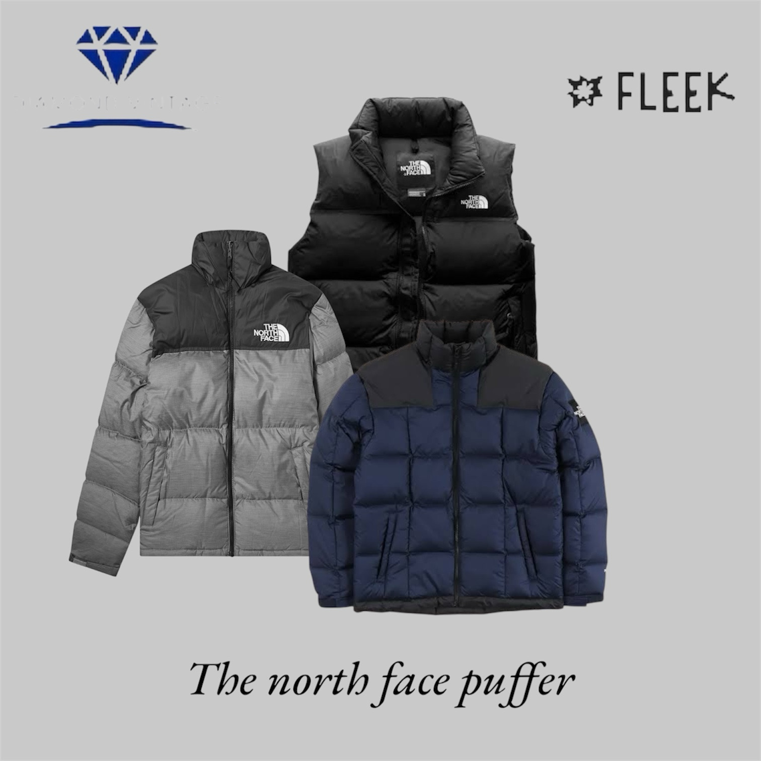 The North Face Puffer (DV -01-519)