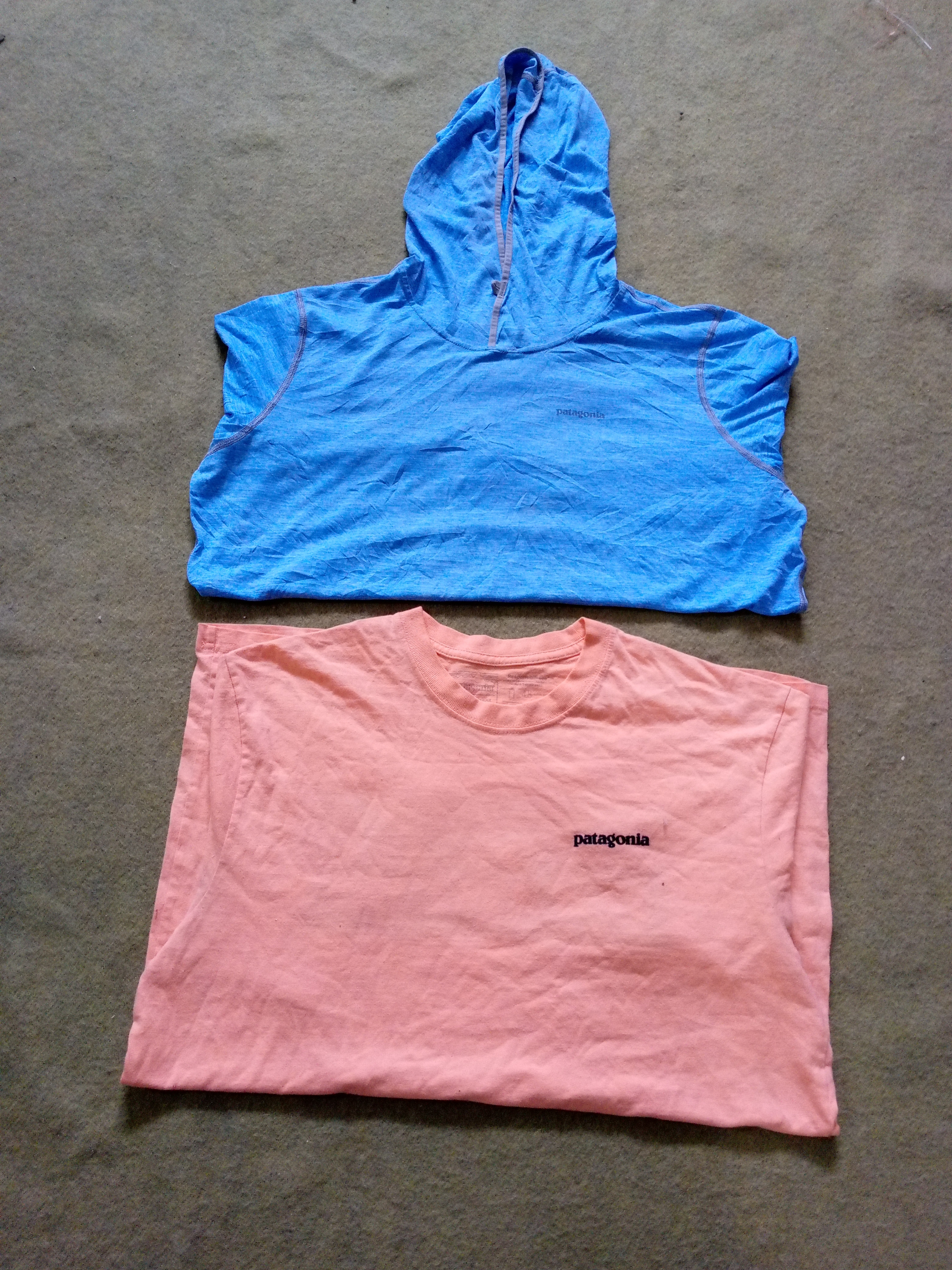 Patagonia T-shirt