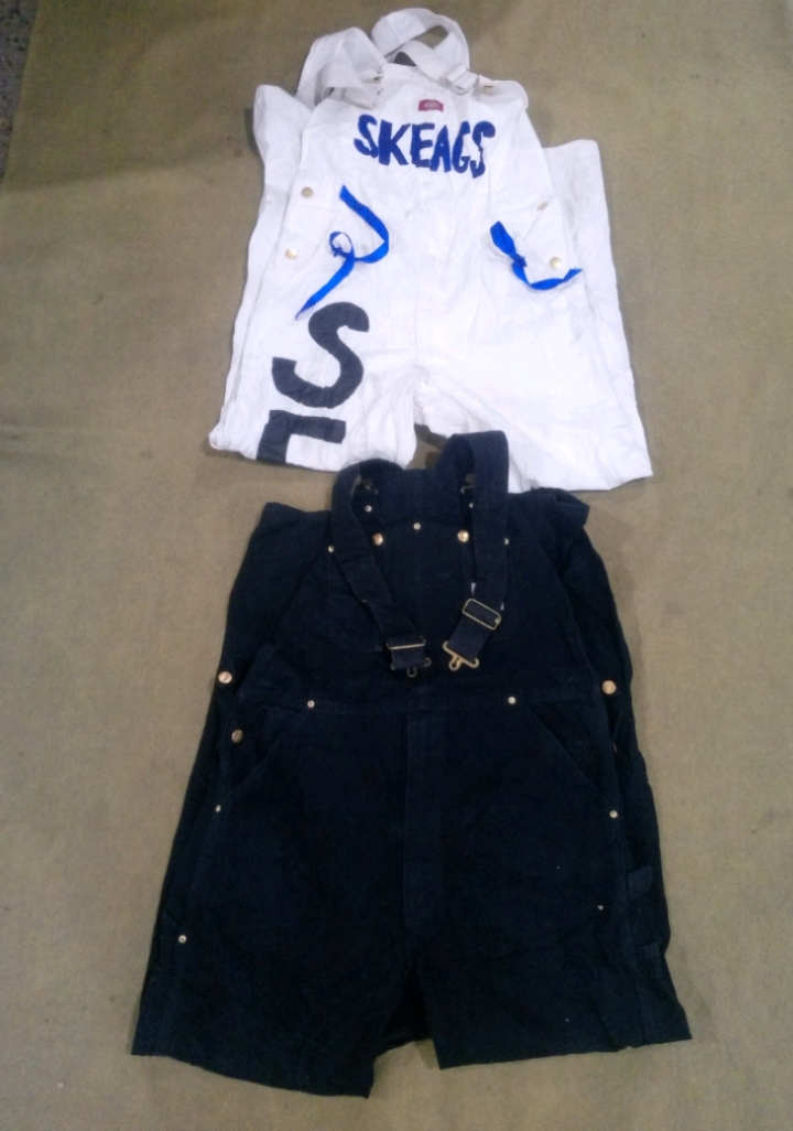 Carhartt & Dickies Daungaree